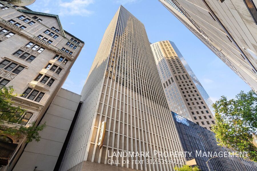 100 E Walton St Unit 17G property image