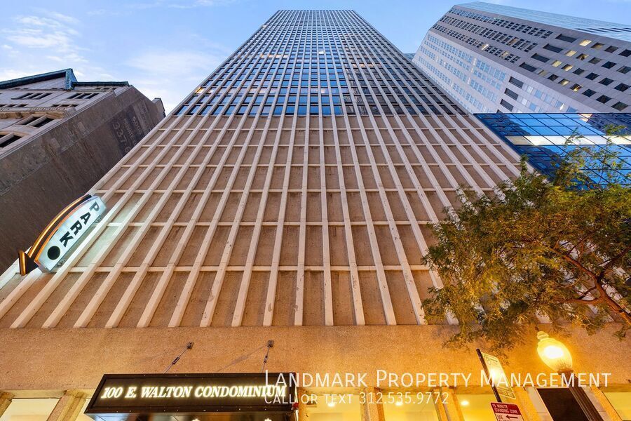 100 E Walton St Unit 17G property image