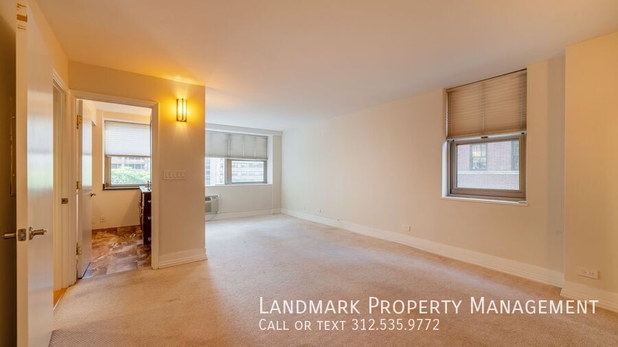 253 E Delaware Place Unit 6FH property image