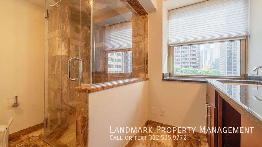 253 E Delaware Place Unit 6FH property image