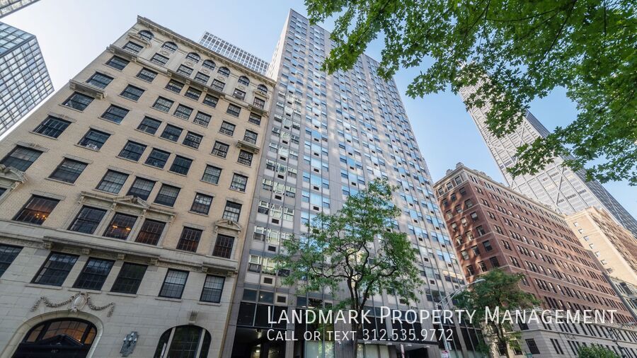 253 E Delaware Place Unit 6FH property image