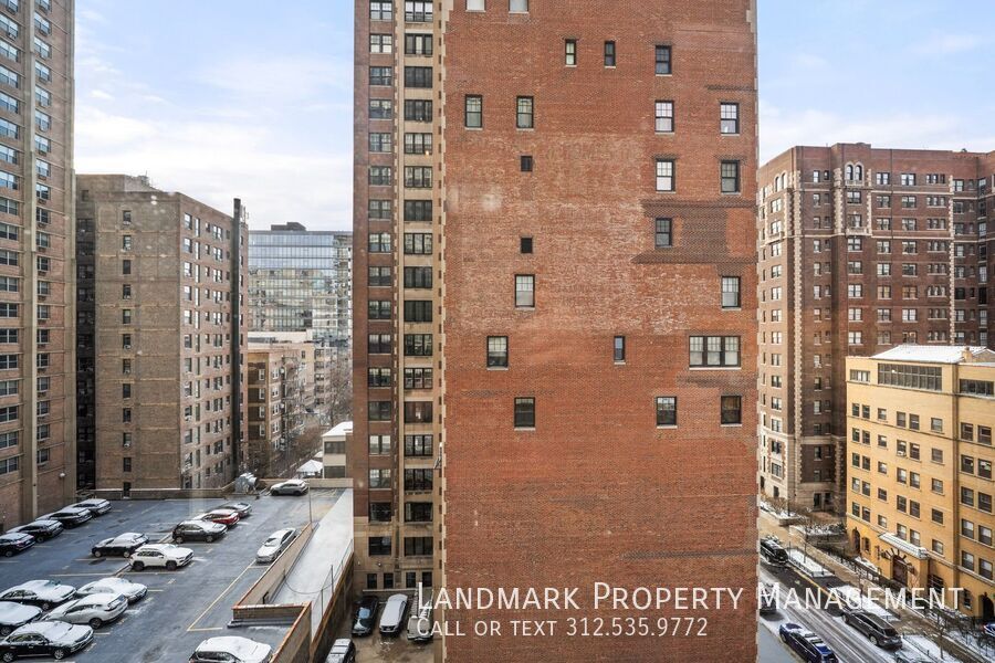 3200 N Lake Shore Dr Unit 909 property image