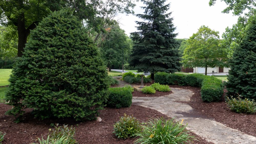 Lockport Safety & Schools Property Management