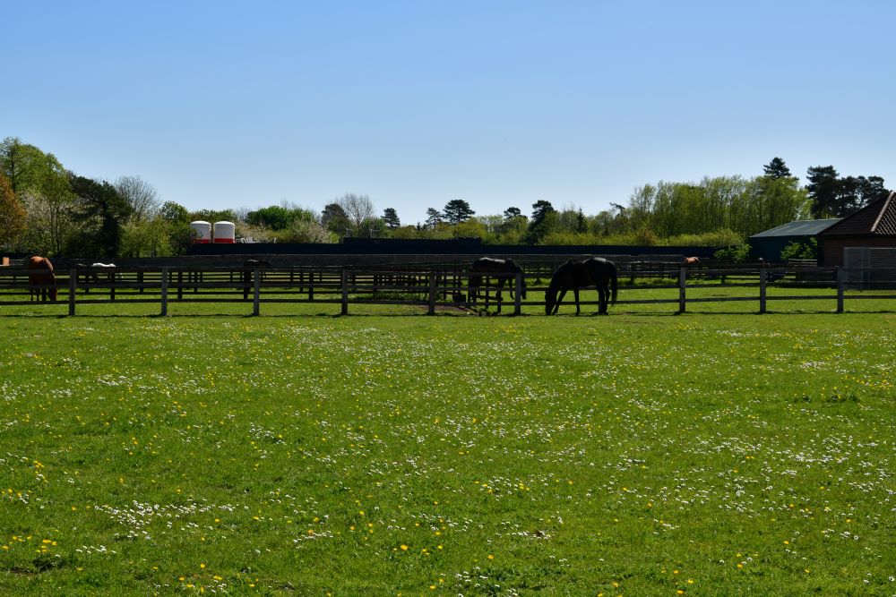 Manhattan Amentieis & Features Property Management