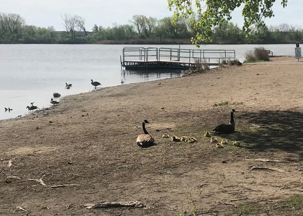 Orland Park Safety & Schools Property Management